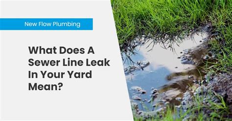 sewer leak in yard|5 Warning Signs of a Sewer Line Leak You Should Never Ignore